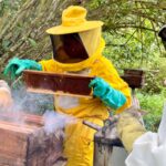 Governo da Bahia fortalece a apicultura no Recôncavo com entrega de 220 kits